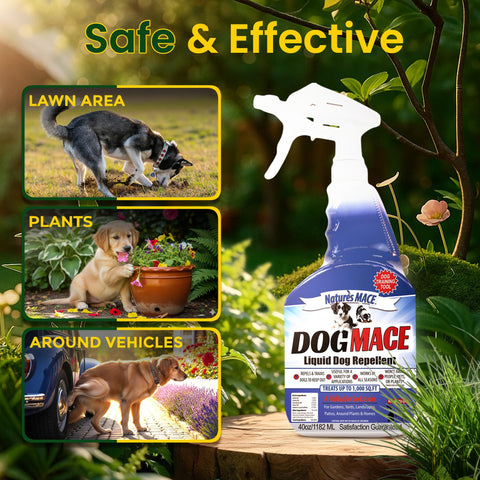 Nature's MACE yard scene with safe spray repellent protecting plants.