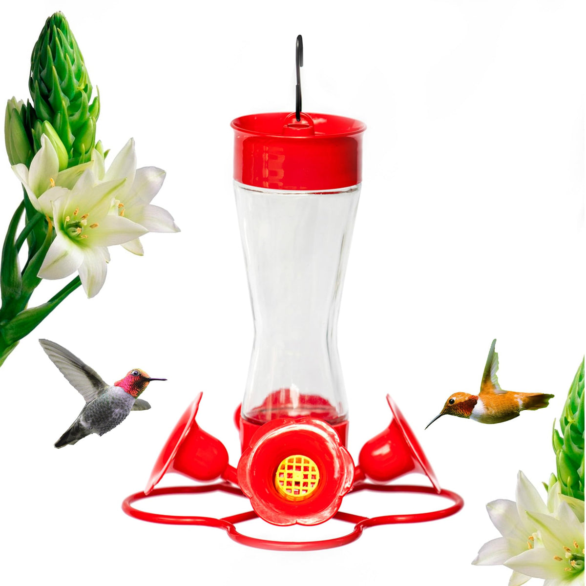 Nature's Rhythm hummingbird feeder with glass bottle and four red ports for nectar access.