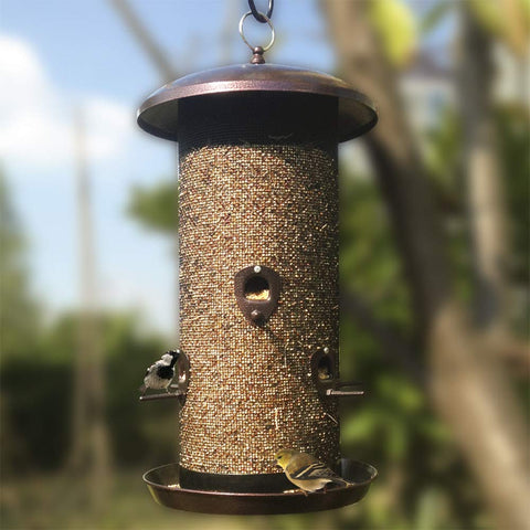 Nature's Rhythm attracts cardinals, titmice, nuthatches, and more.