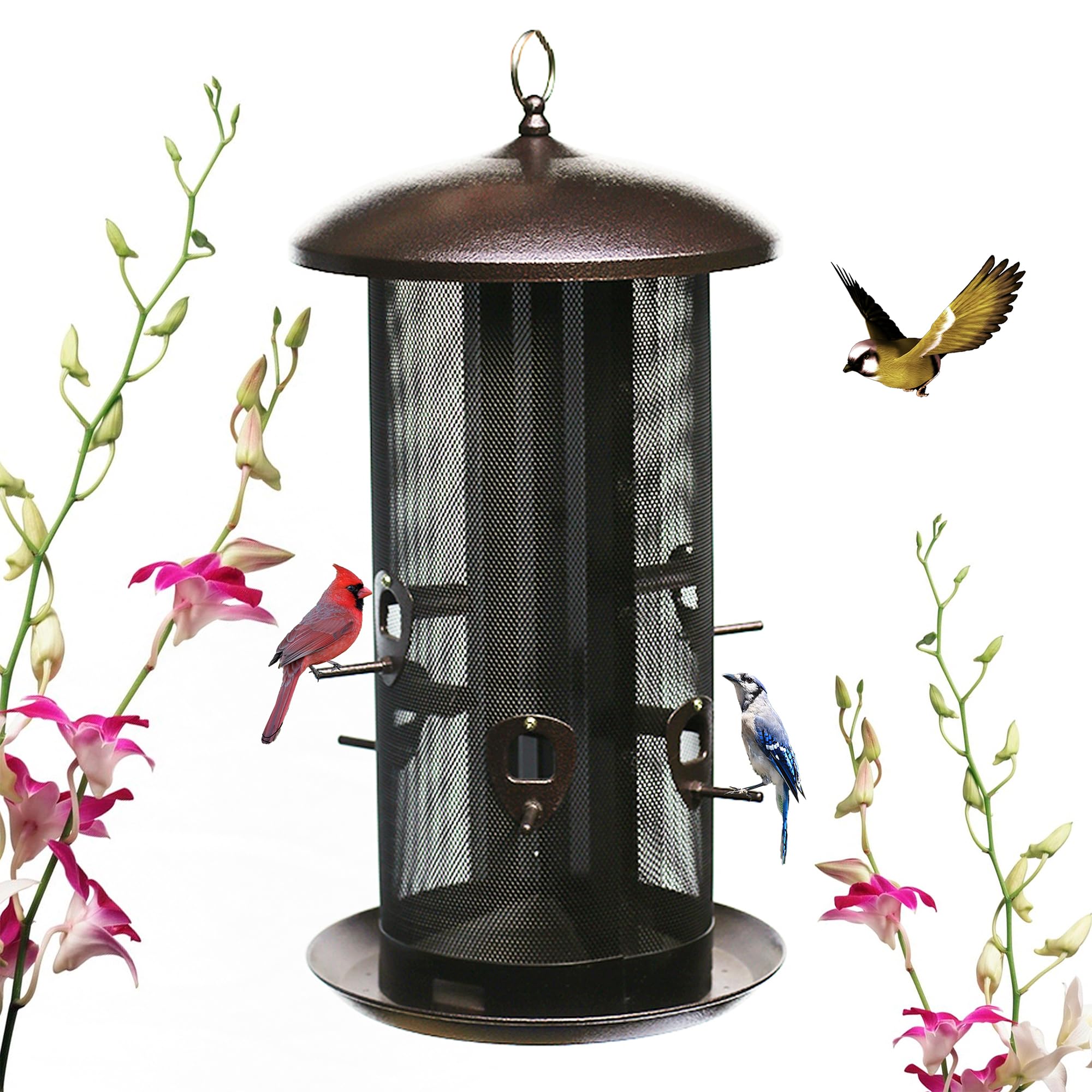 Nature's Rhythm metal hopper feeder with dual seed compartments attracts diverse birds.