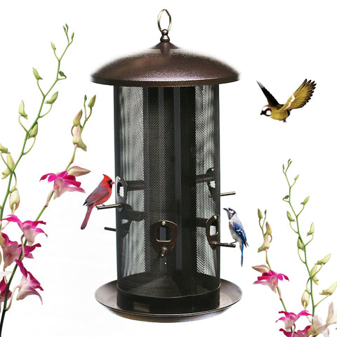 Nature's Rhythm metal hopper feeder with dual seed compartments attracts diverse birds.