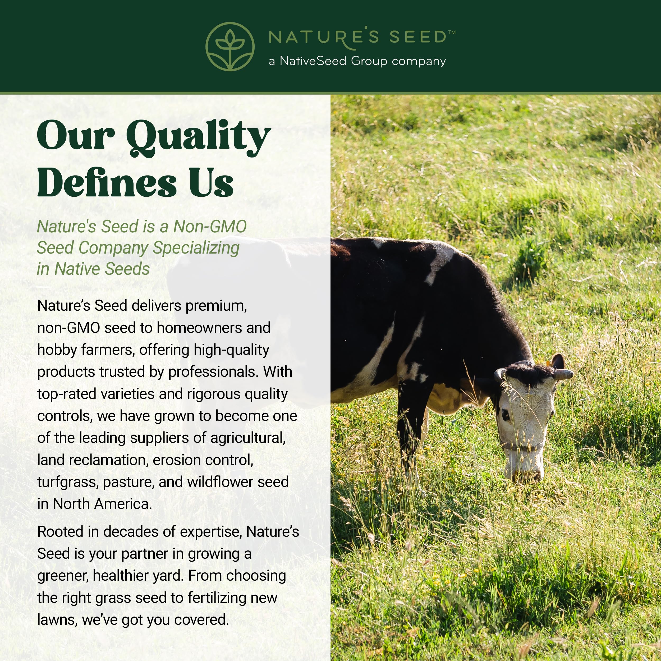 Nature's Seed Orchardgrass pasture and hay setup suitable for grazing.