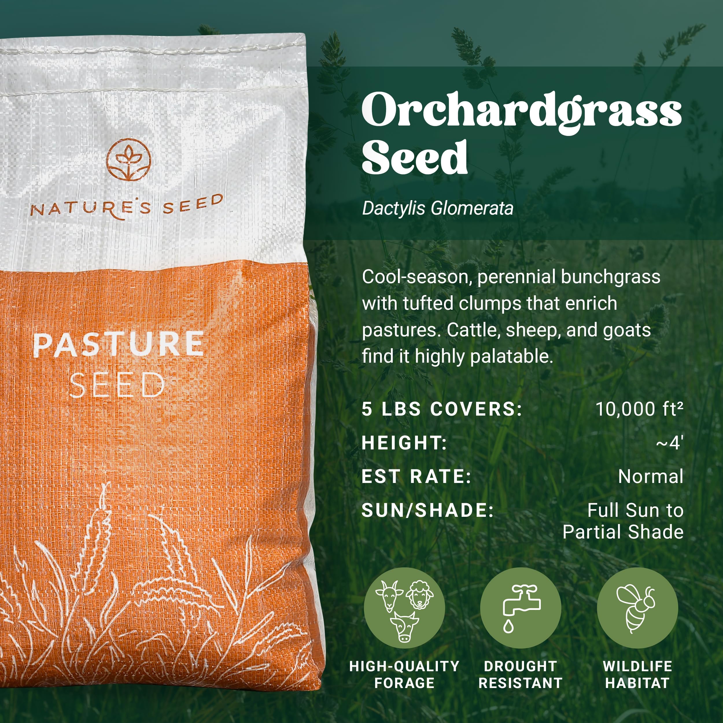 Nature's Seed Orchardgrass field ready for pasture planting and stand establishment.