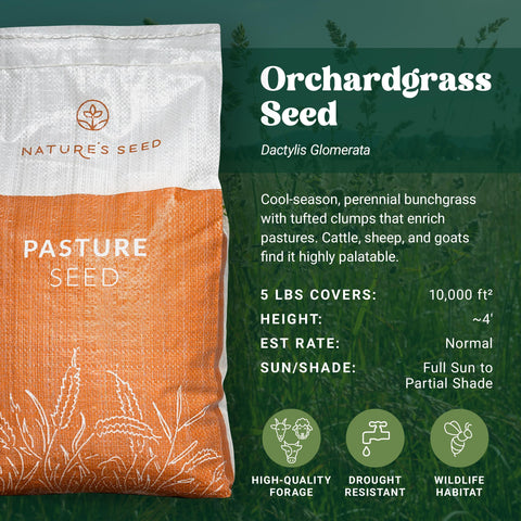 Nature's Seed Orchardgrass field ready for pasture planting and stand establishment.