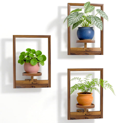 NATURE'S SOURCE hanging planters wall-art display with lush greenery for living spaces.