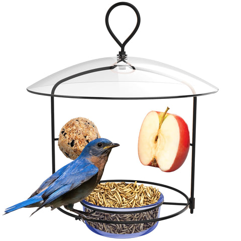 Nature's Way BBFM1 bluebird buffet feeder with glass dish for versatile feeding