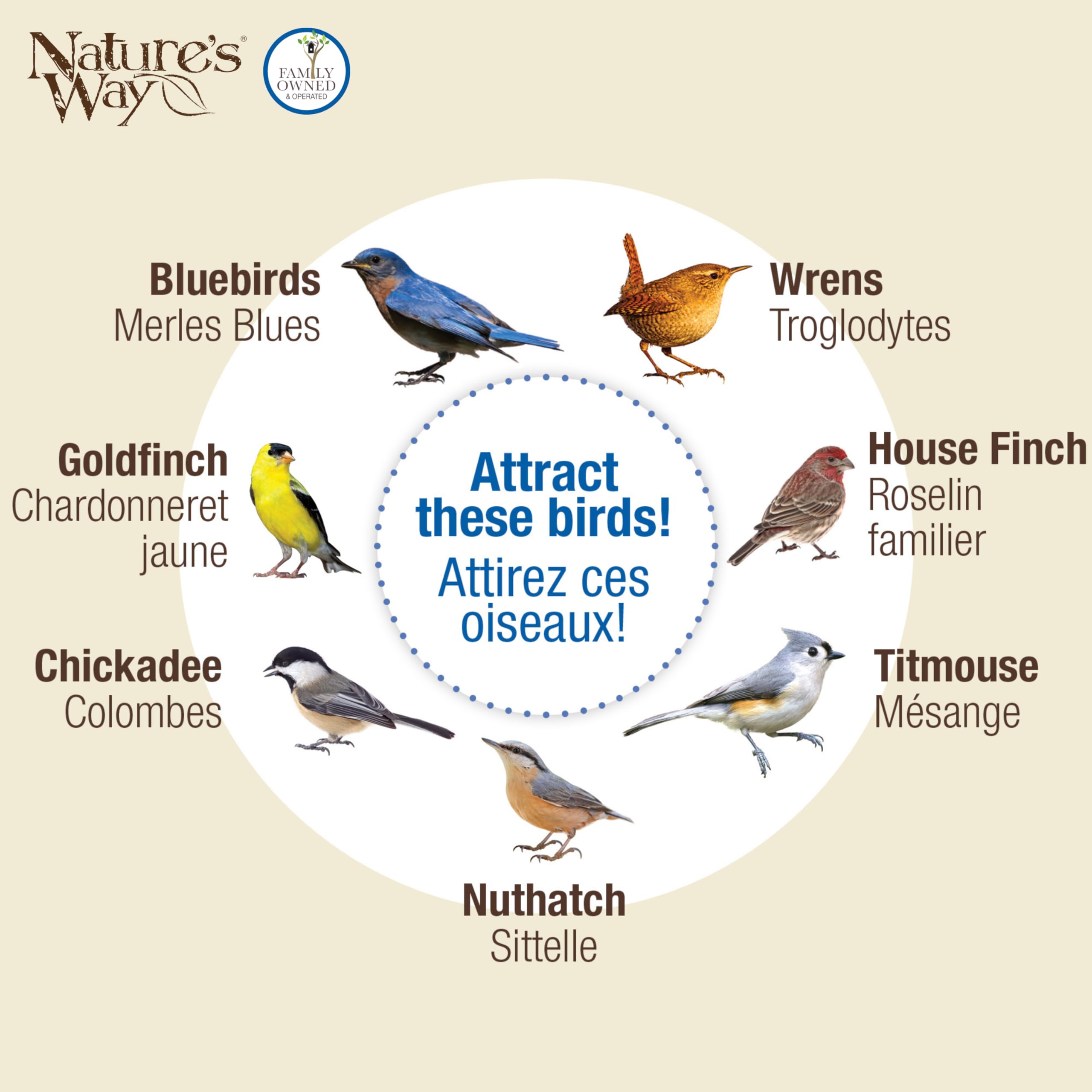 BBFM1 supports mealworms, seeds, suet, and fruit combinations for birds