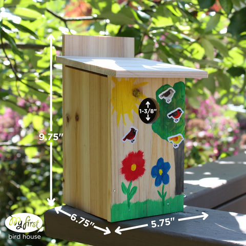 Nature's Way Bird House Wood Kit painting invites vibrant color for a personalized wildlife home.