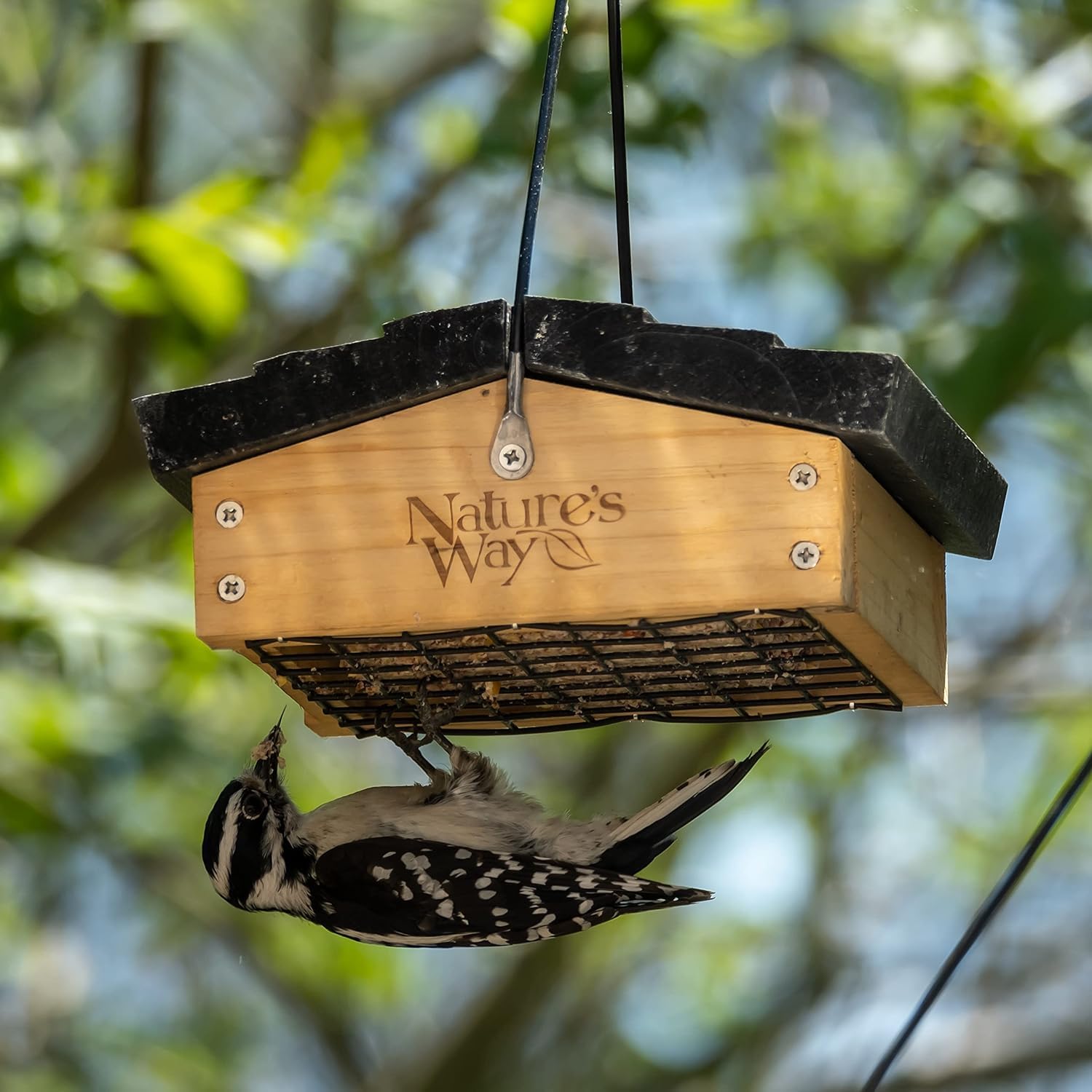 Nature's Way Bird Products CWF2 1 cake capacity for flexible feeding