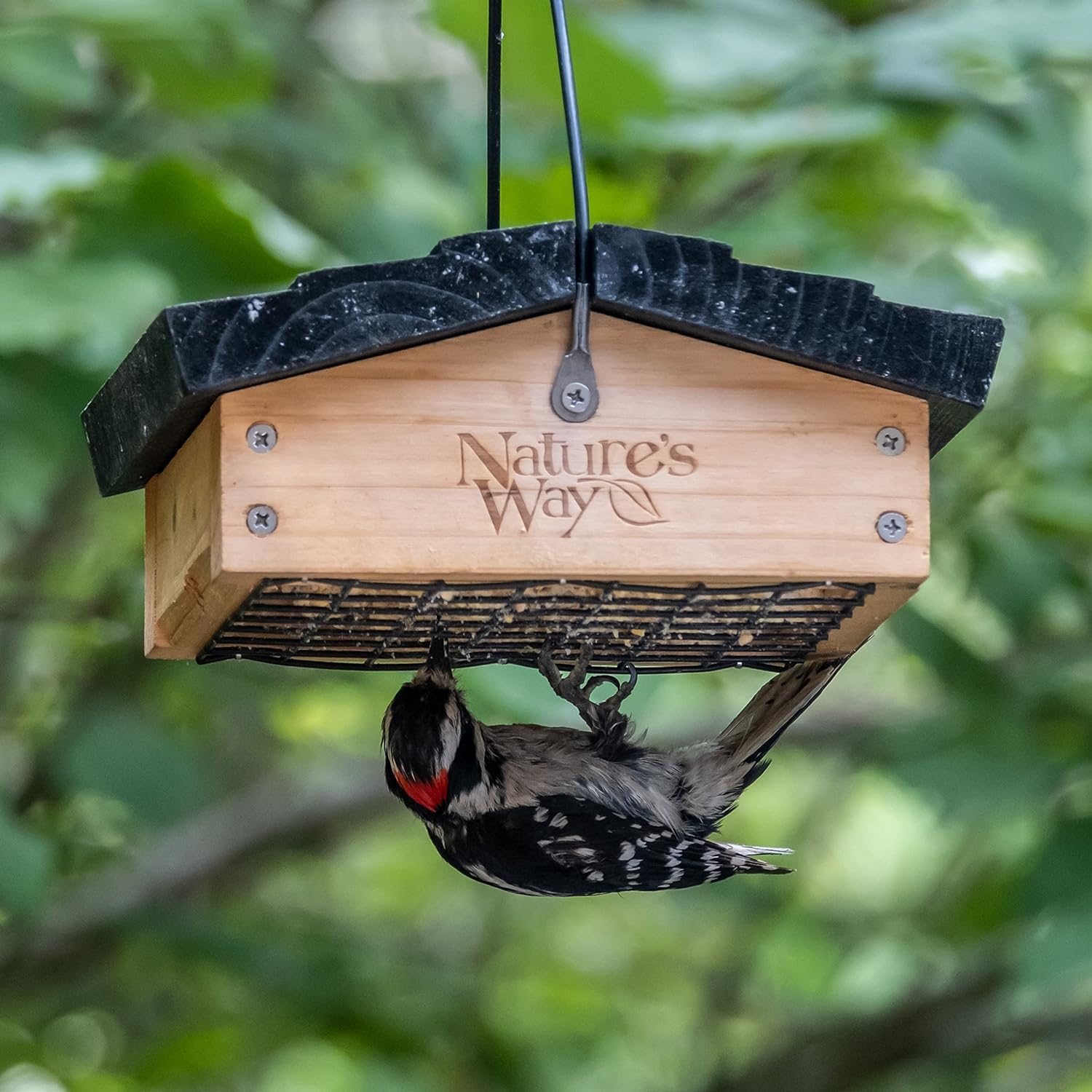 Nature's Way Bird Products CWF2 back view highlights durable cedar construction