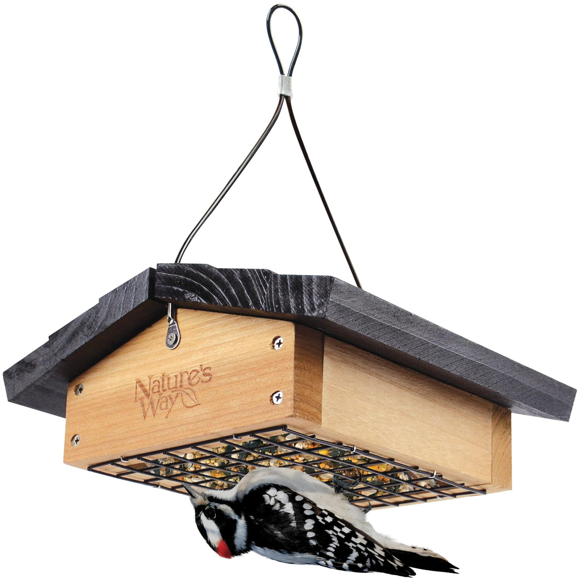 Nature's Way Bird Products CWF2 cedar suet upside-down feeder attracts woodpeckers