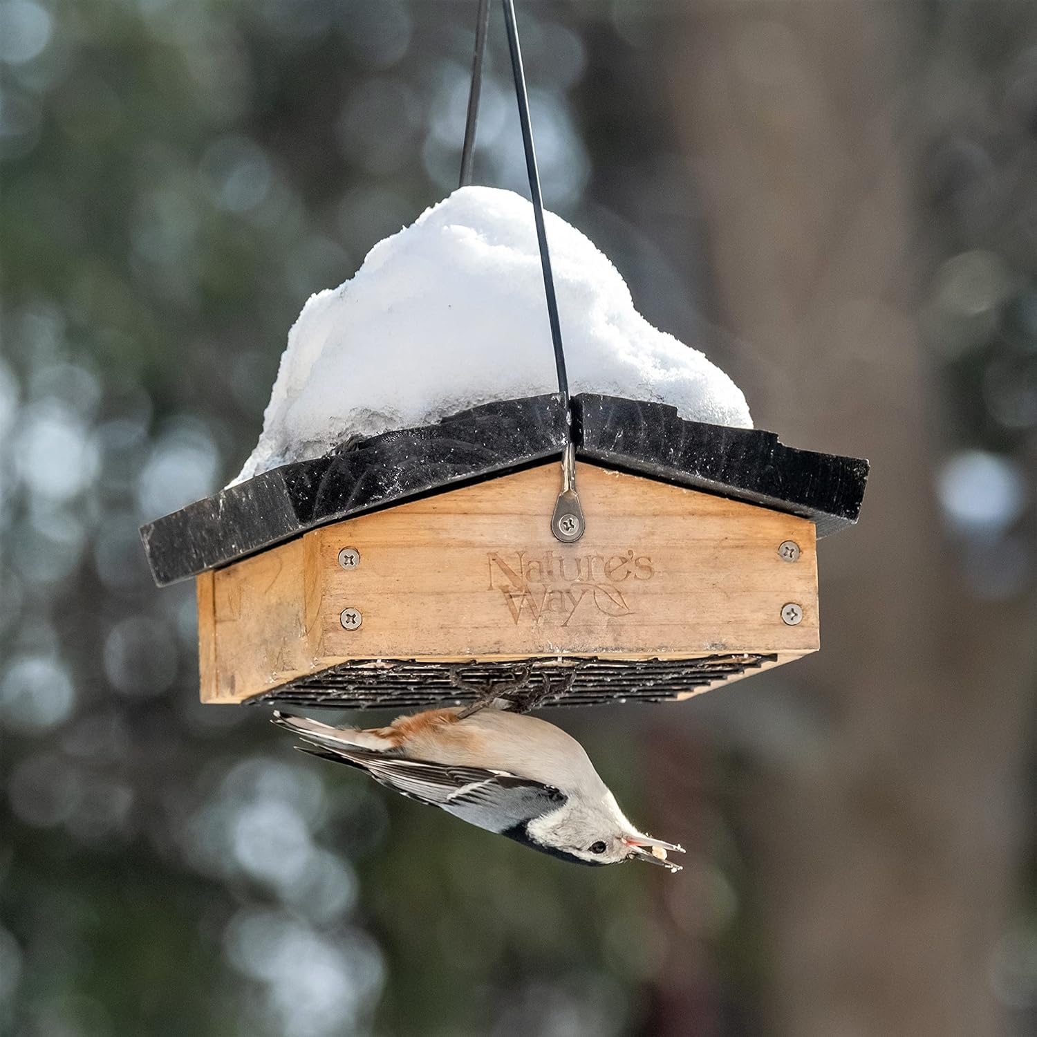 Nature's Way Bird Products CWF2 front view shows upside-down feeding