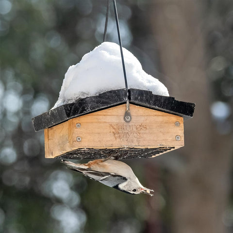 Nature's Way Bird Products CWF2 front view shows upside-down feeding