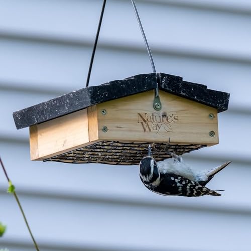 Nature's Way Bird Products CWF2 outdoor-ready design for year-round use