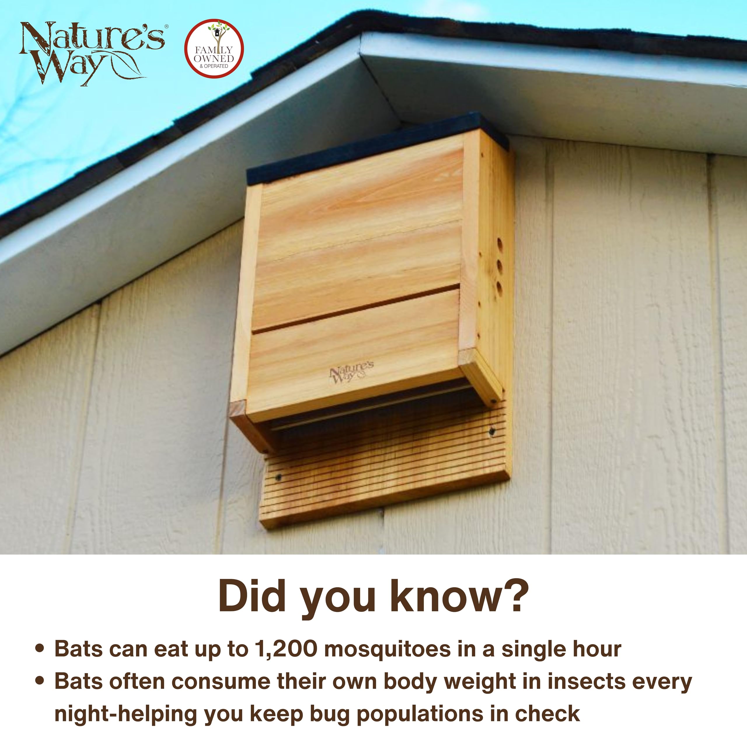Nature's Way CWH6 cedar bat house, dimensions 20.5 x 12 x 5, roomy design.
