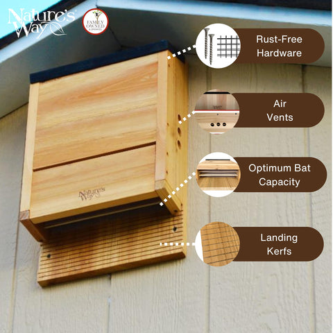 Nature's Way CWH6 cedar bat house, landing kerfs visible, easing entry for roosting bats.