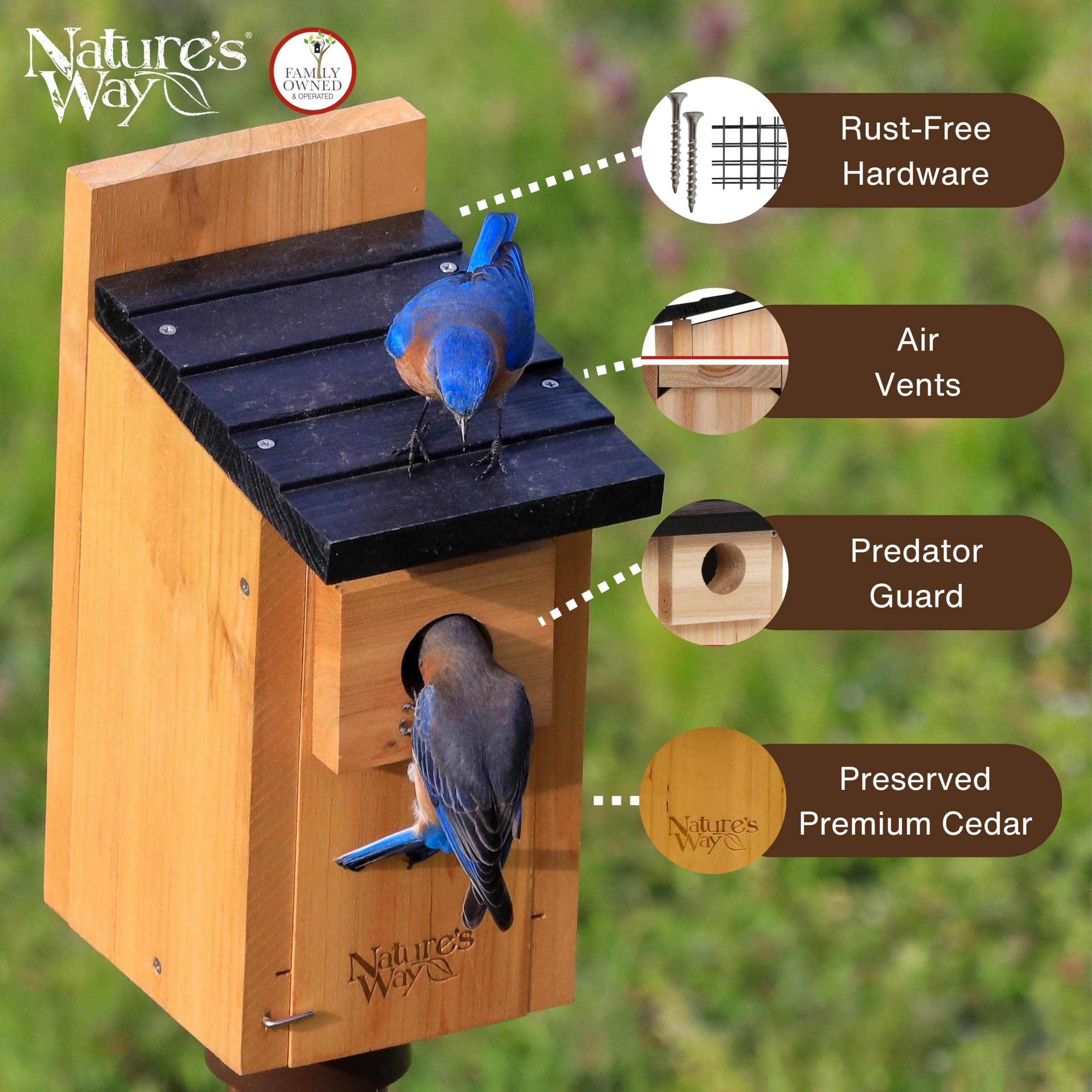 Nature's Way Cedar Bluebird Box House entrance detail with predator guard for fledglings