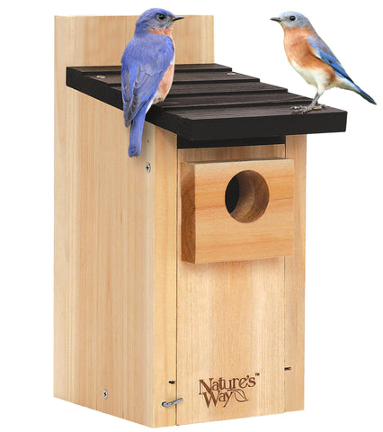 Nature's Way Cedar Bluebird Box House front view showing durable cedar construction