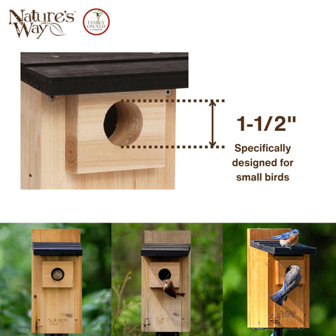 Nature's Way Cedar Bluebird Box House elevated mesh floor for easy maintenance