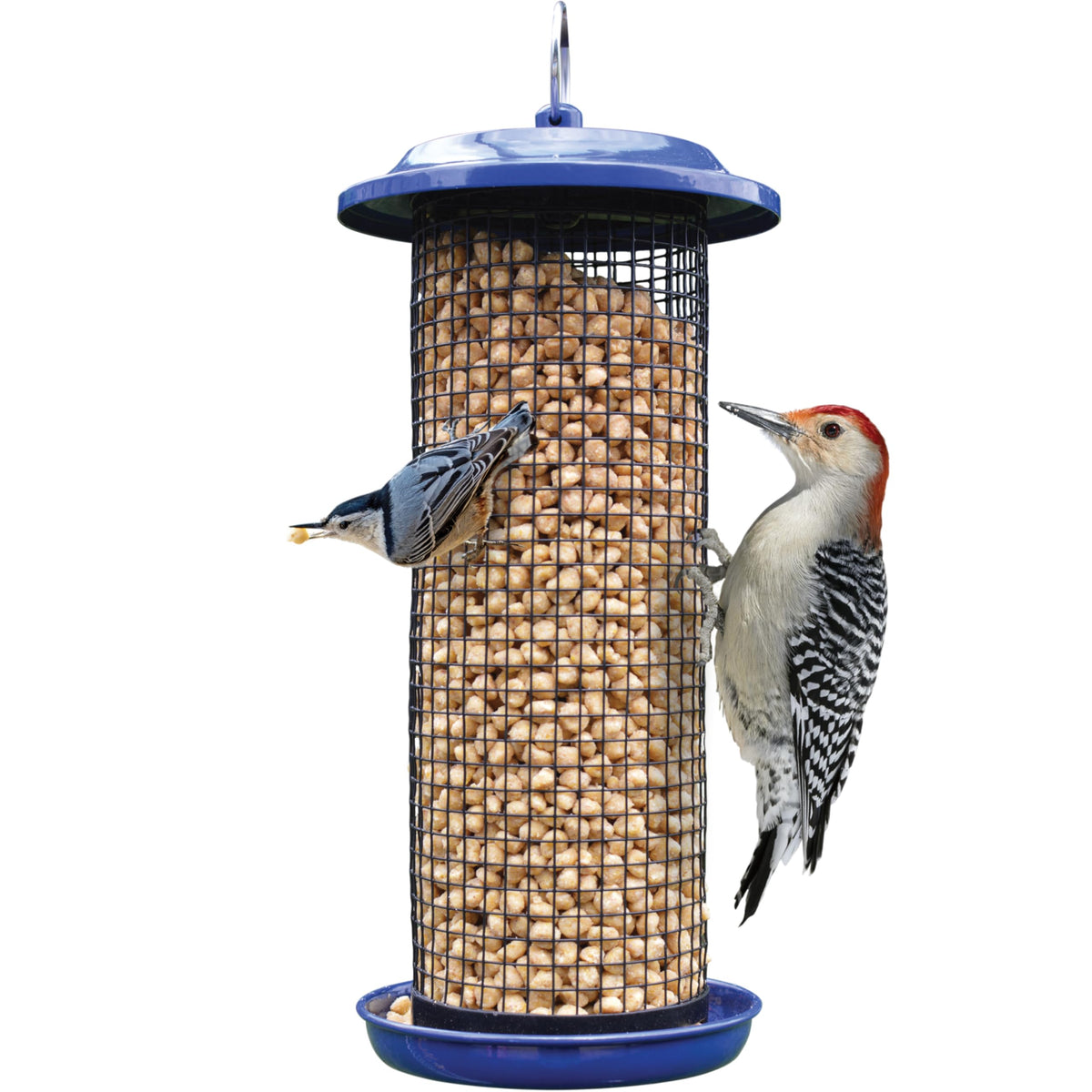 Nature's Way cobalt mesh bird feeder with 2 qt capacity for steady seed supply.