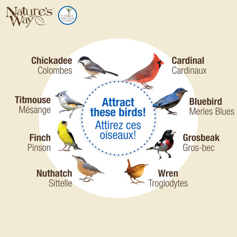 Nature's Way Crystal Window Seed Feeder provides a rounded perch for comfortable bird visits.