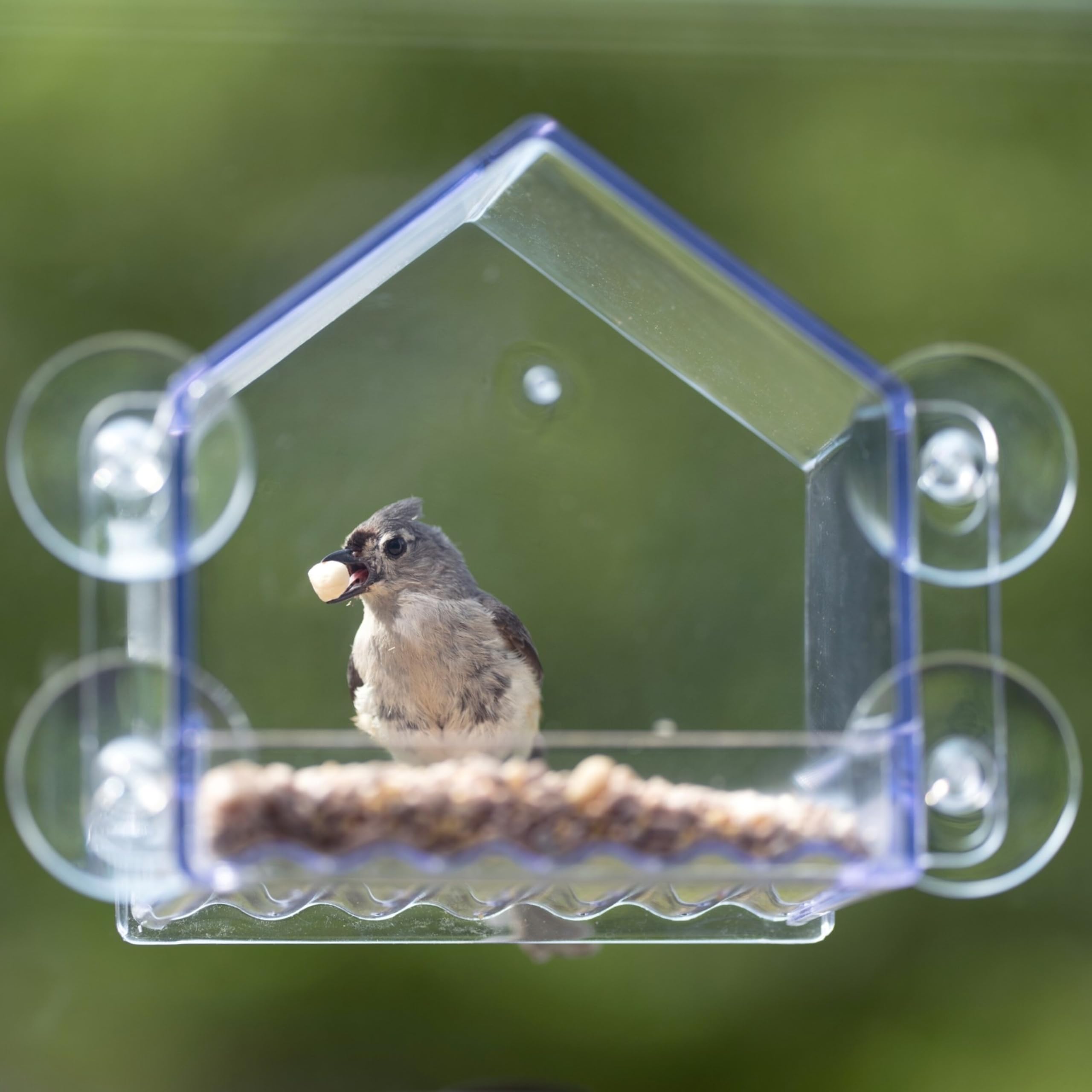 Nature's Way Crystal Window Seed Feeder is made from UV-stabilized, crack-resistant plastic.
