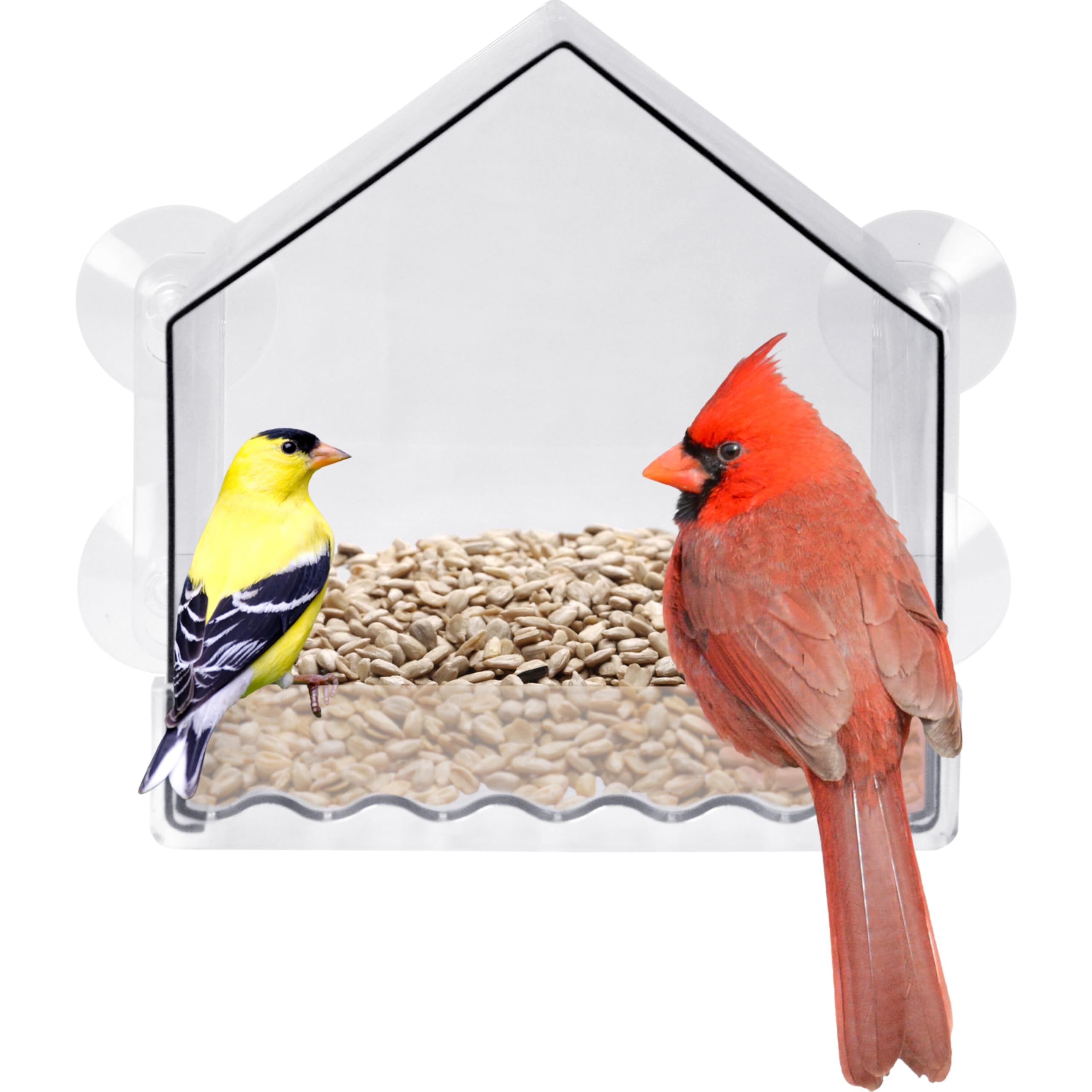 Nature's Way Crystal Window Seed Feeder offers crystal-clear, close-up bird viewing from indoors.