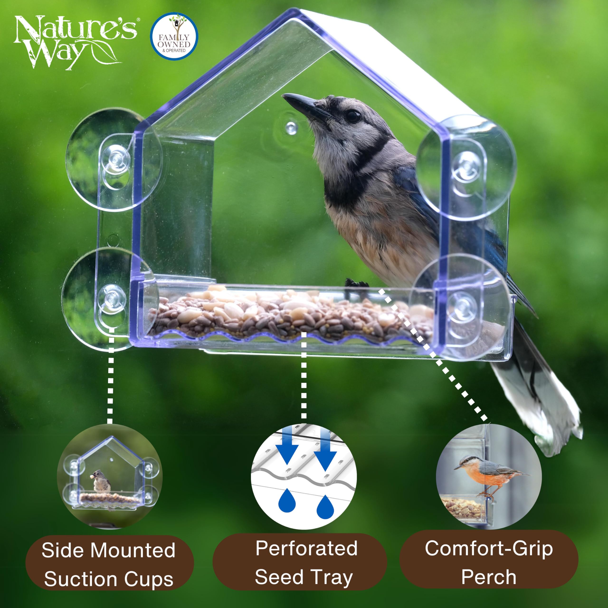 Nature's Way Crystal Window Seed Feeder features a lift-out tray for easy refills and cleaning.