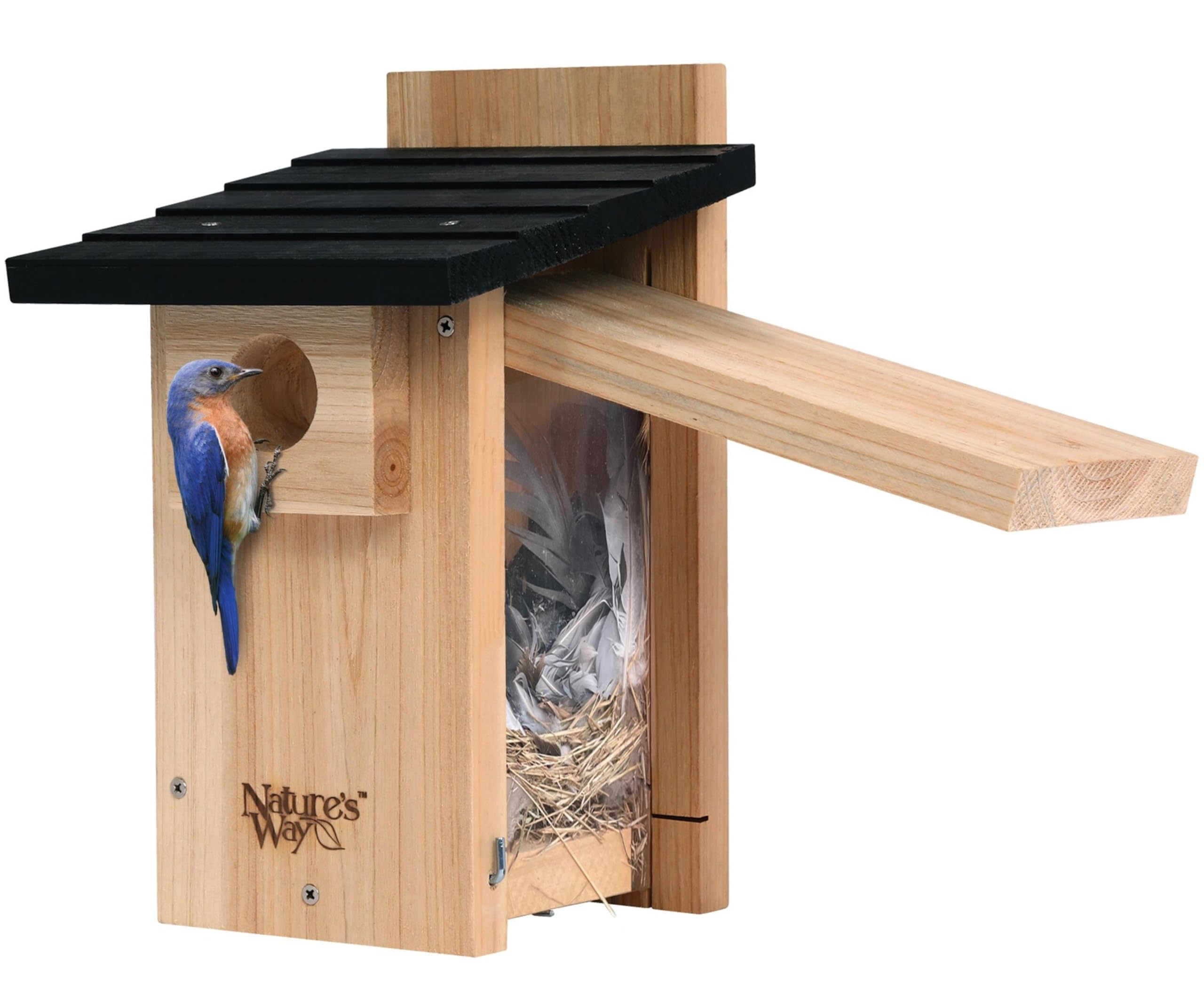 Nature's Way CWH4 cedar bluebird viewing house front view showing durable cedar for outdoors