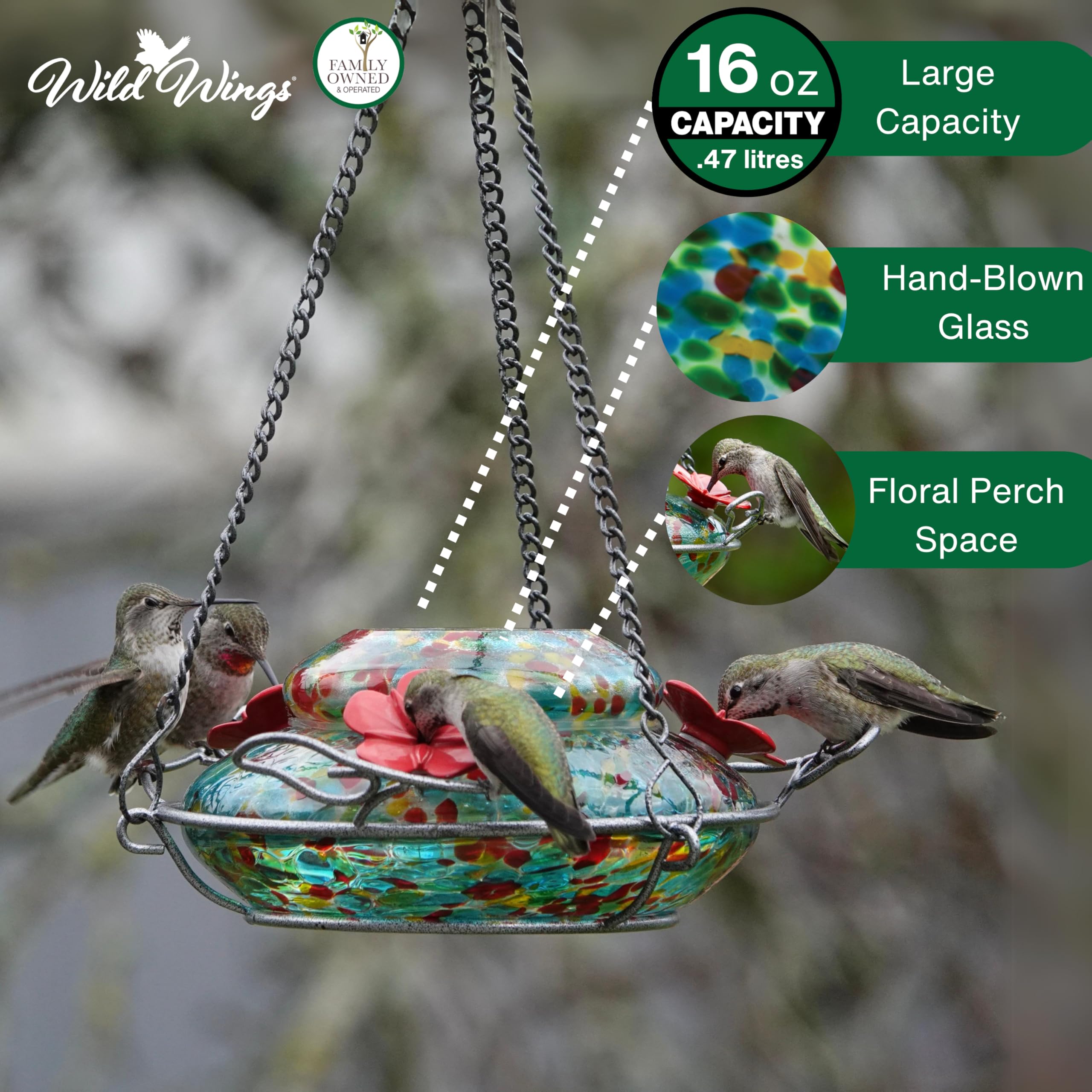 Nature's Way decorative hanging basket with perching rings for comfortable feeding.