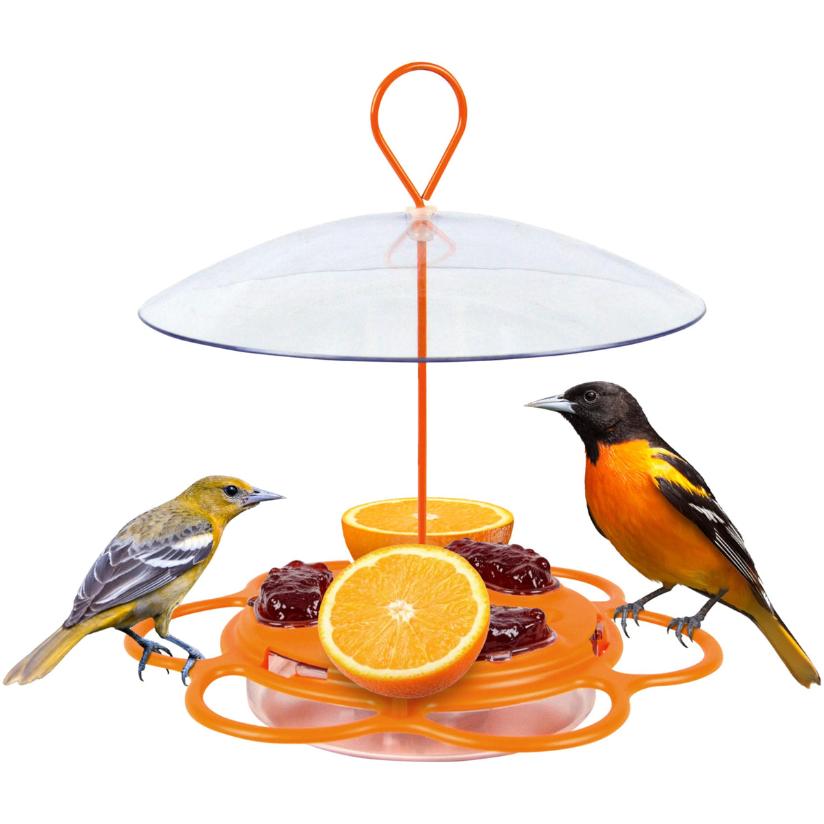 Nature’s Way multi-station oriole feeder in a yard showing versatile feeding options.
