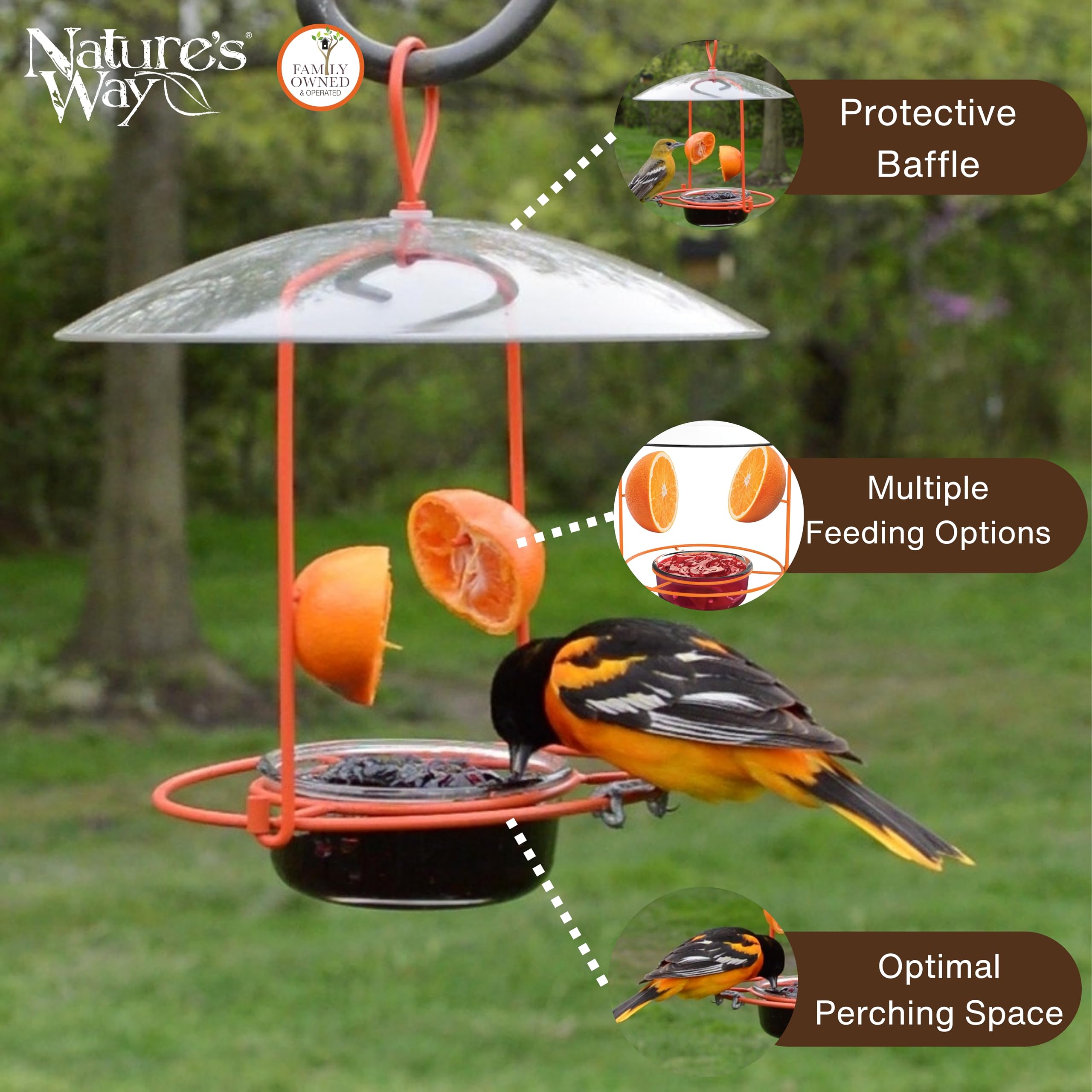 Jelly dish lifted out for easy refilling on Nature's Way OFM1 feeder