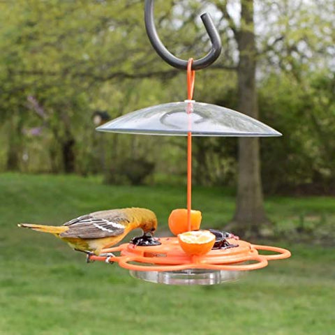 Nature's Way OFP1 multi-feed design in one unit