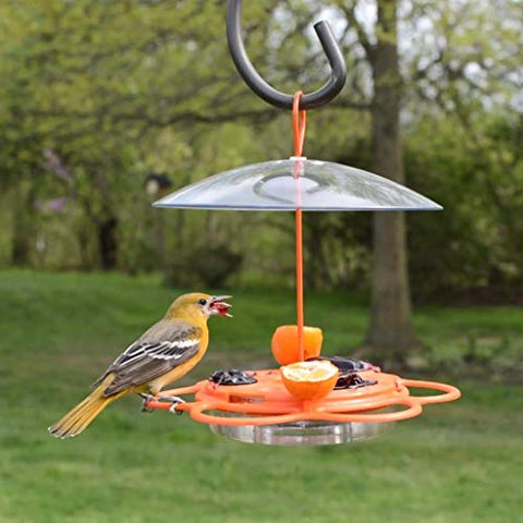 Nature's Way OFP1 weather shield baffle on feeder
