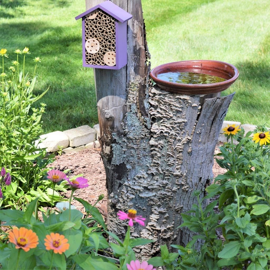 Nature's Way PWH1-B backyard pollinator habitat supports plant health