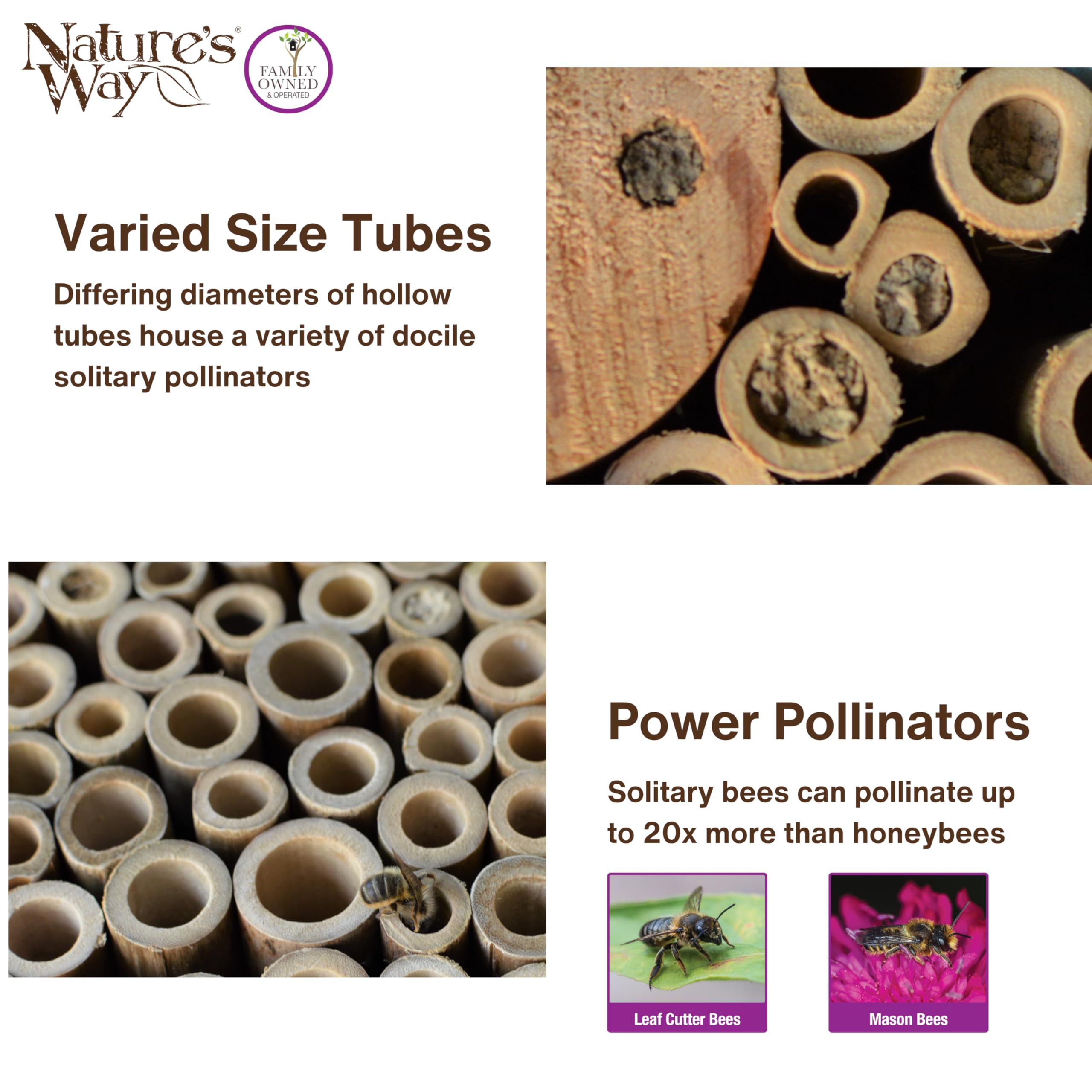 Nature's Way PWH1-B bamboo construction highlights sustainability and nesting sites