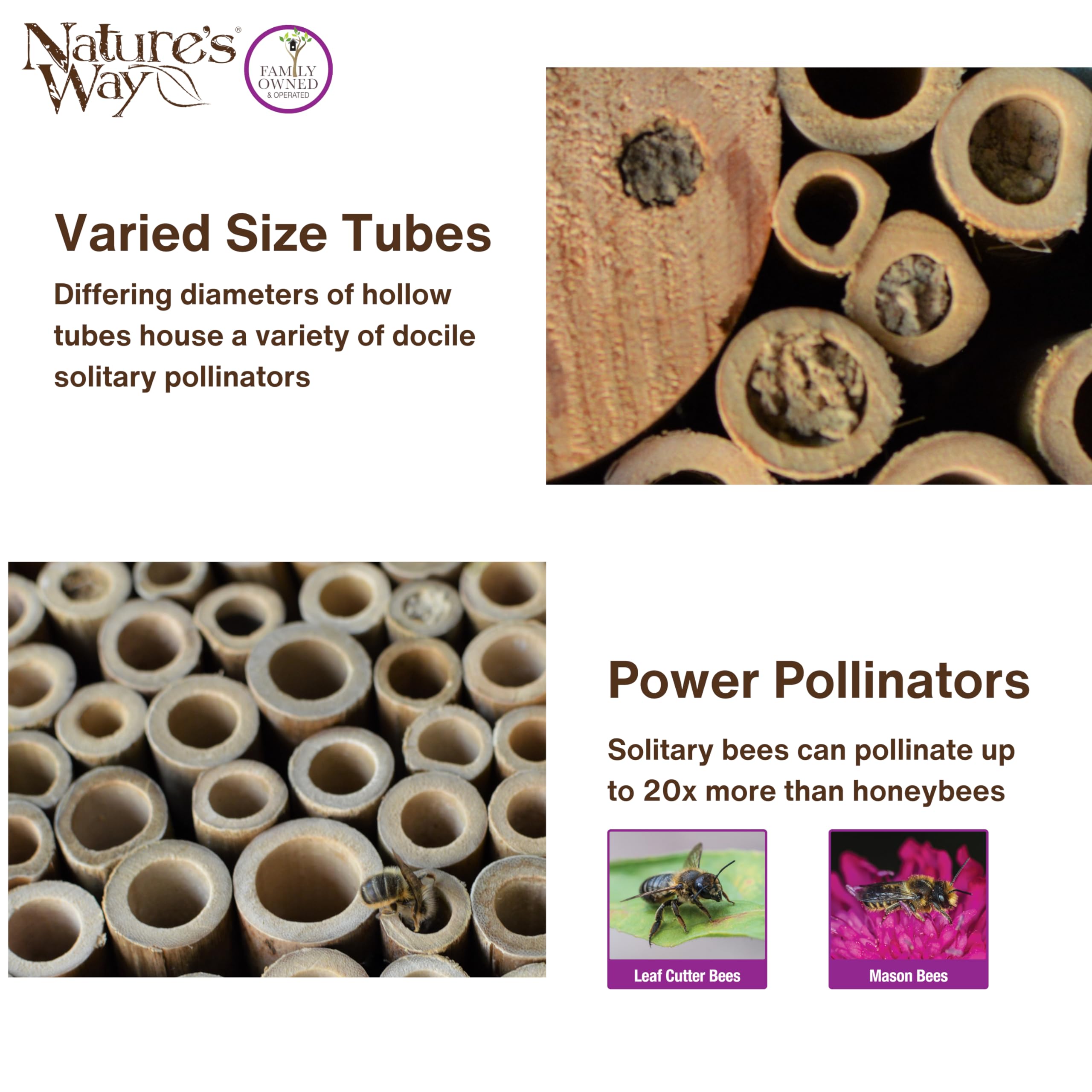 Nature's Way PWH1-C Teal Bee House 8x6x3.5 inch dimensions for placement
