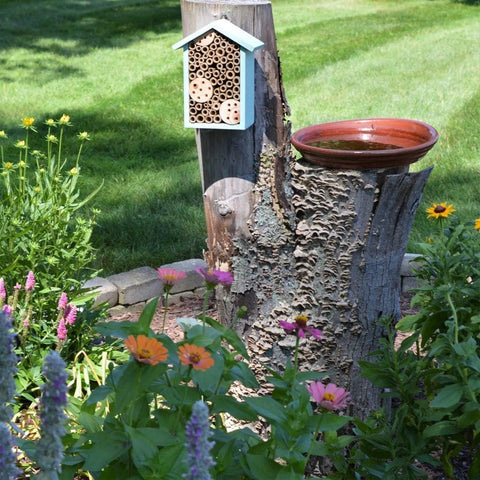 Nature's Way PWH1-C Teal Bee House attracts solitary bees