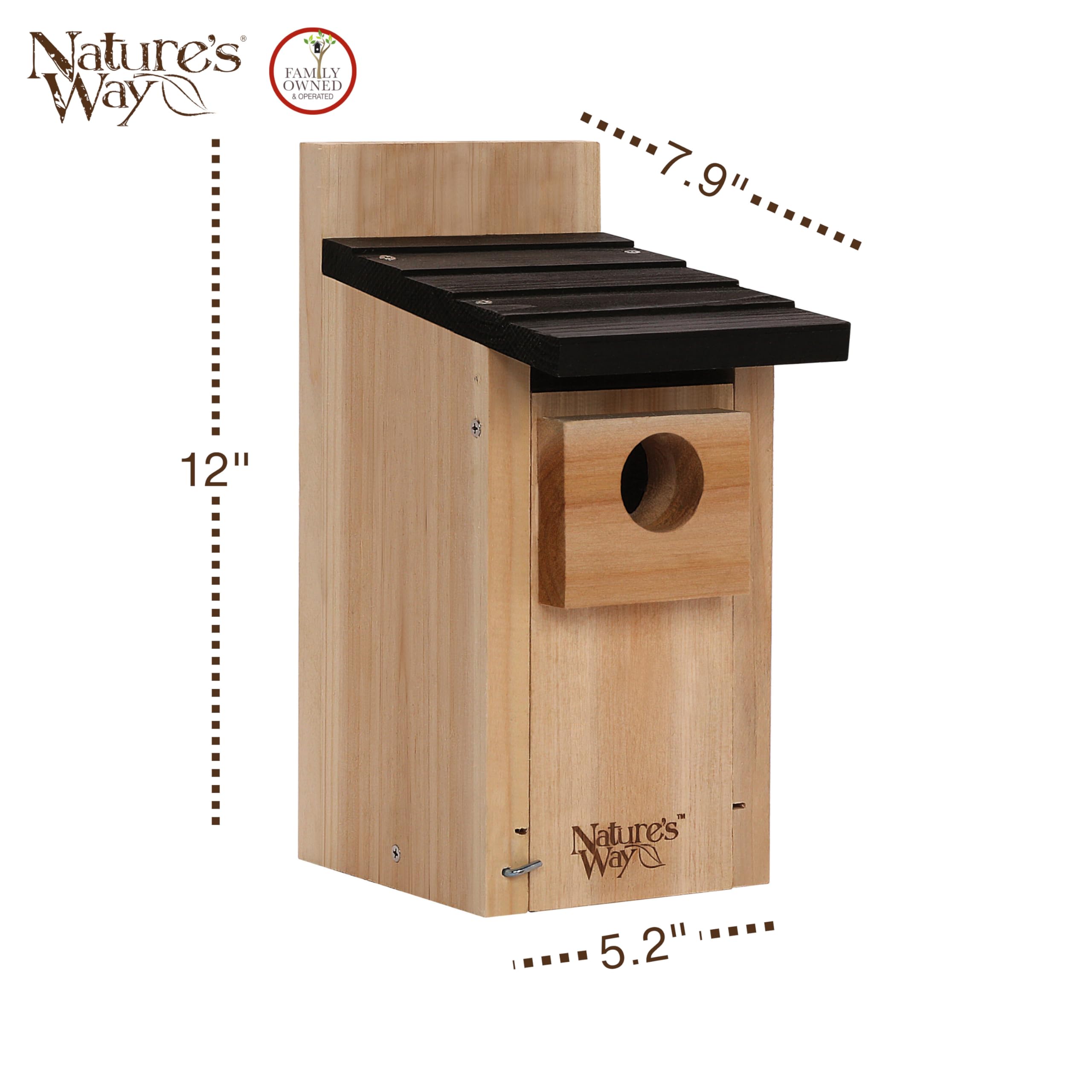 Nature's Way Wild Wings WWCH3 cedar blue bird box entrance showing predator guard