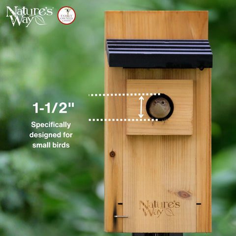 Nature's Way Wild Wings WWCH3 cedar blue bird box interior grooves aid fledglings