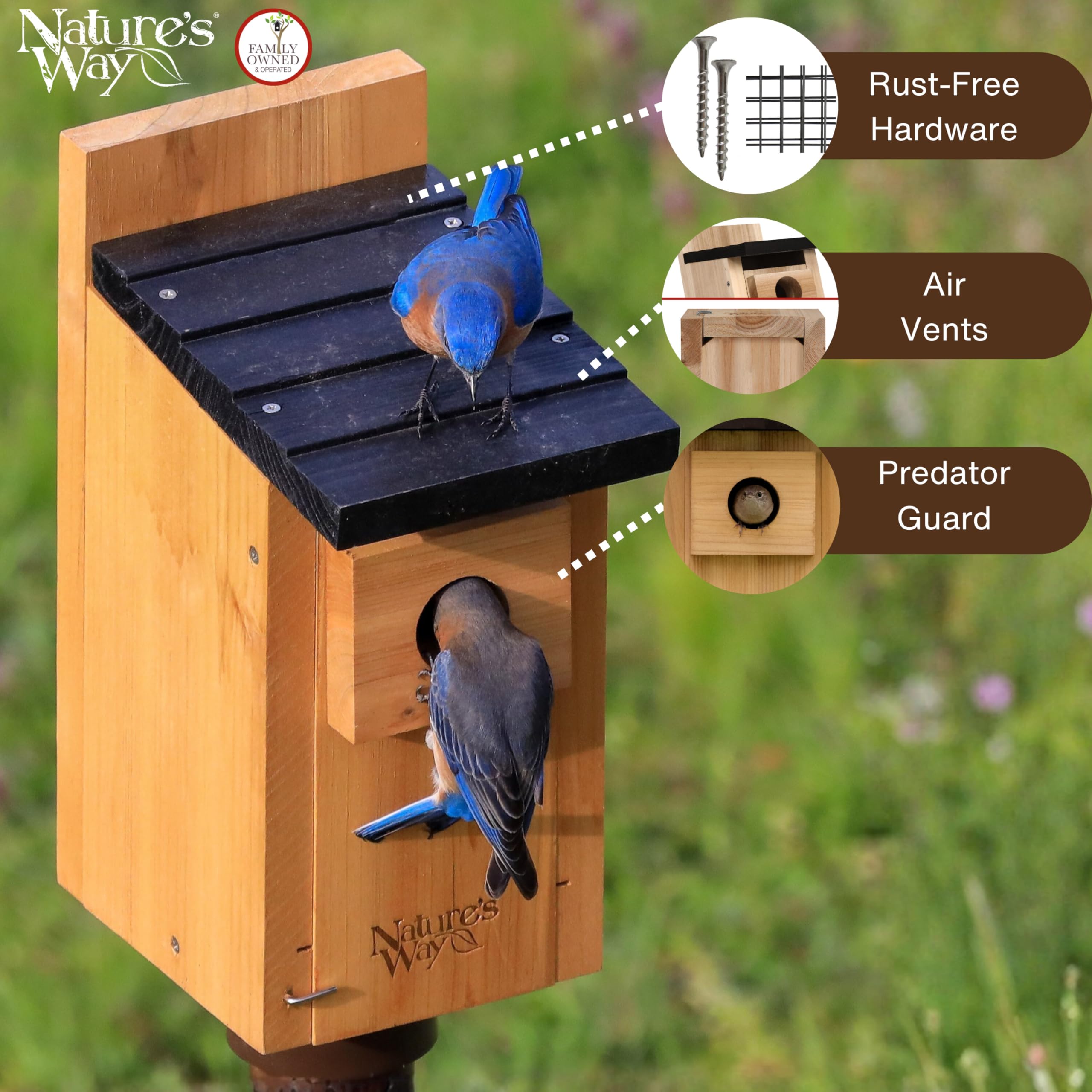 Nature's Way Wild Wings WWCH3 cedar blue bird box ventilation through wall and floor