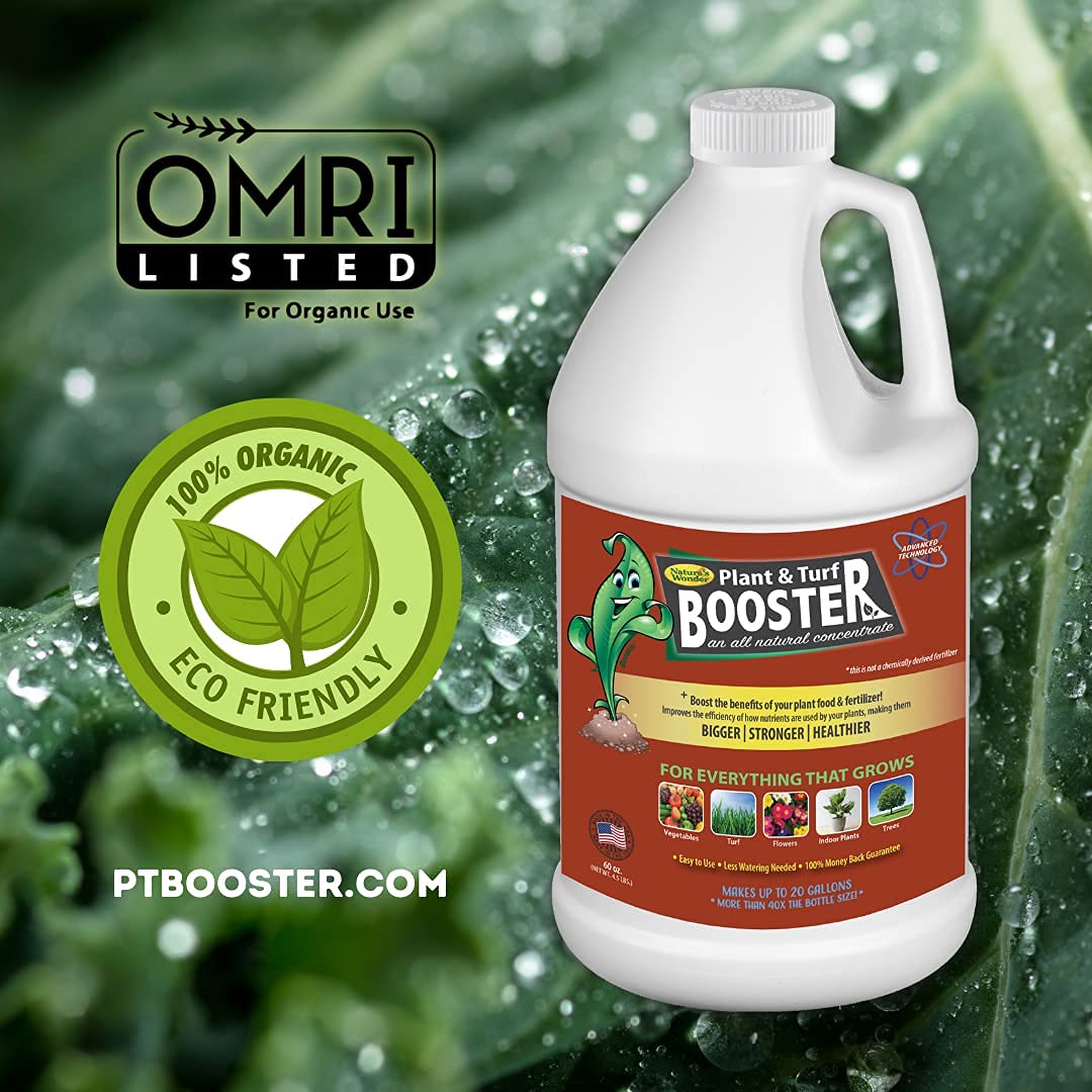 Nature's Wonder flowers thrive after treatment with organic biostimulant.
