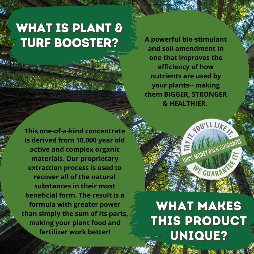 Nature's Wonder lawn application yields denser, greener turf.