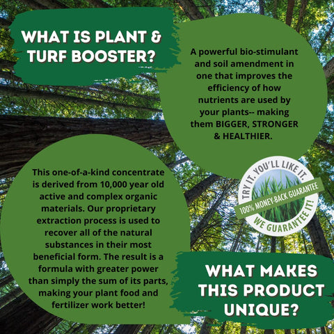 Nature's Wonder lawn application yields denser, greener turf.