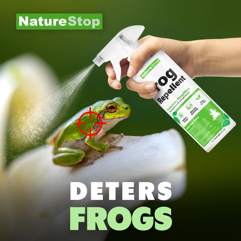 NatureStop Frog Repellent Spray applied on patio around doors and walkways.