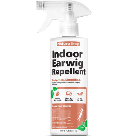 NatureStop indoor earwig repellent spray applied to baseboards to deter activity.