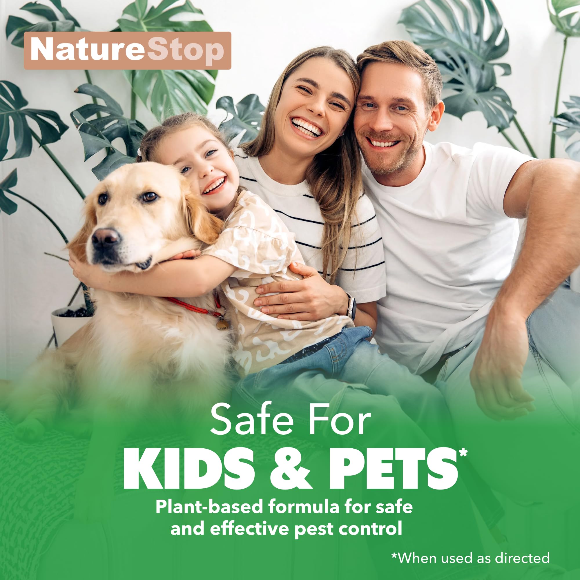 Indoor plants protected with NatureStop Mealy Bug Killer during routine care