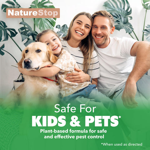 Indoor plants protected with NatureStop Mealy Bug Killer during routine care