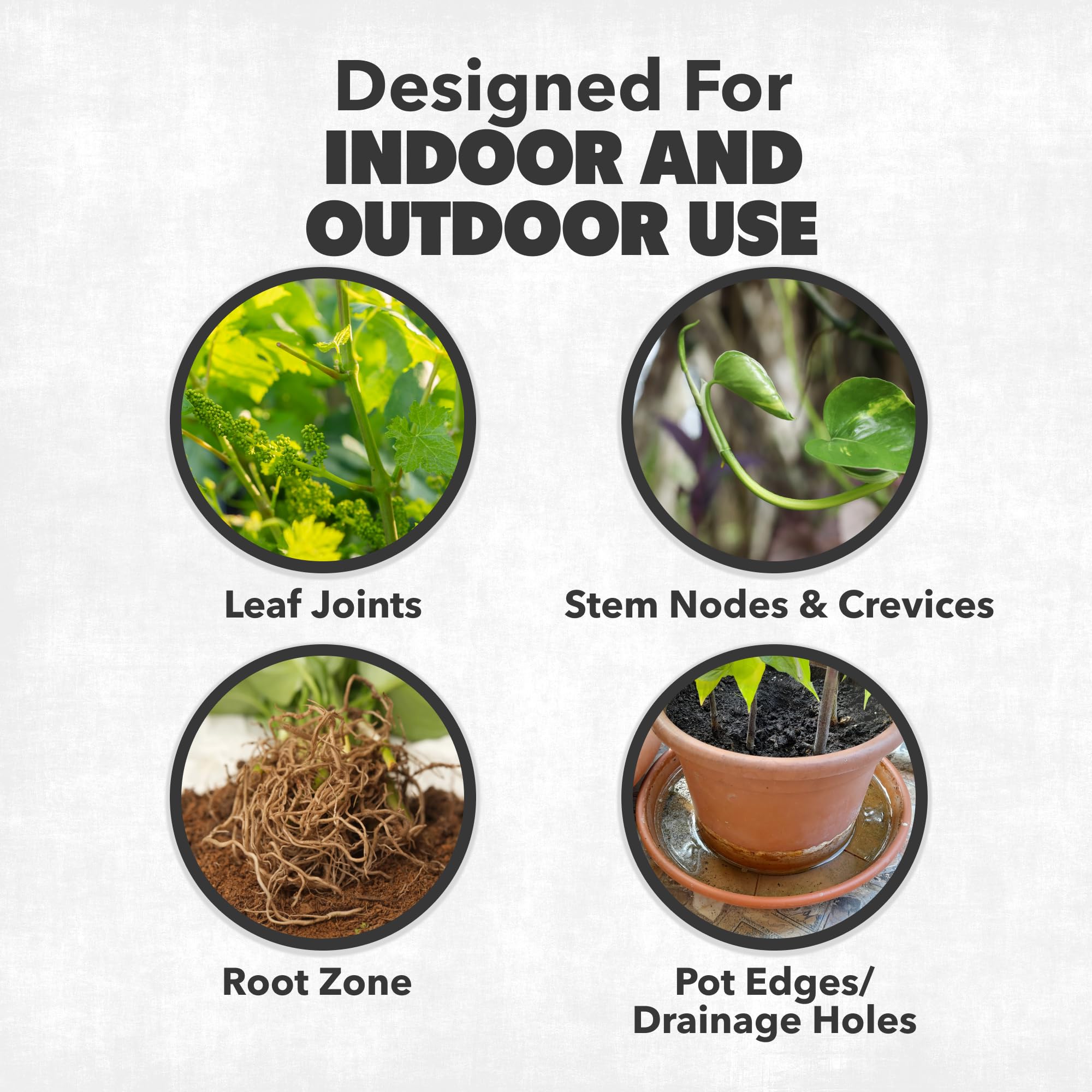 Outdoor garden plants treated with NatureStop Mealy Bug Killer for pest management