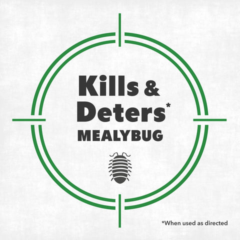 NatureStop Mealy Bug Killer spray-on-leaves demonstrates easy foliage coverage